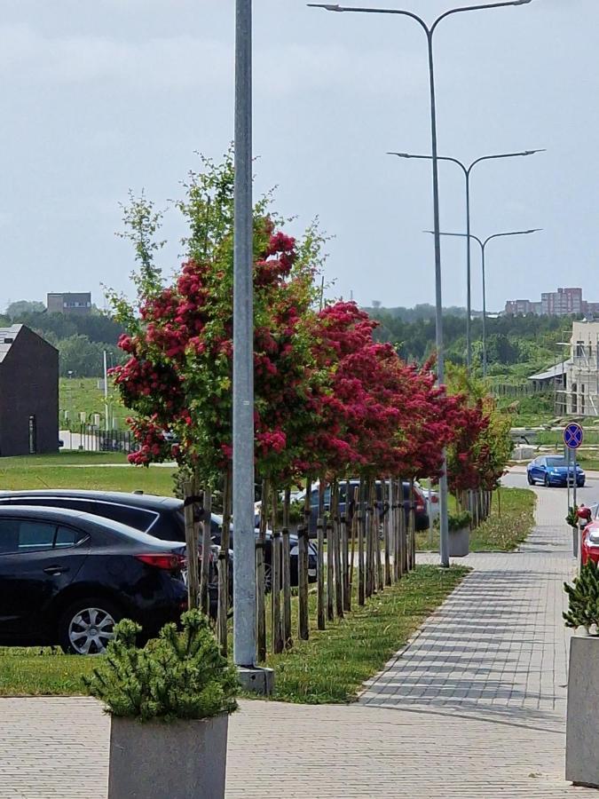 Apartamentai Ragaines Self Chec-In Free Parking Klaipėda Exteriér fotografie